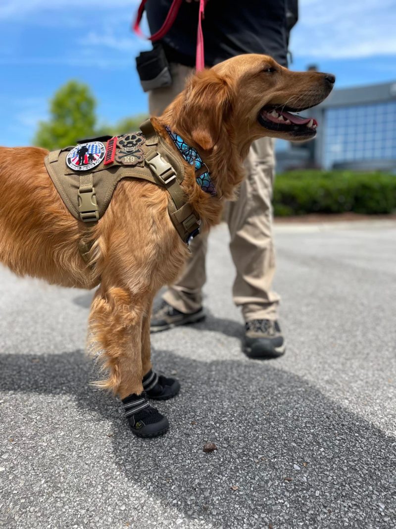 Cruisin' For Freedom 2023 Warrior Freedom Service Dogs