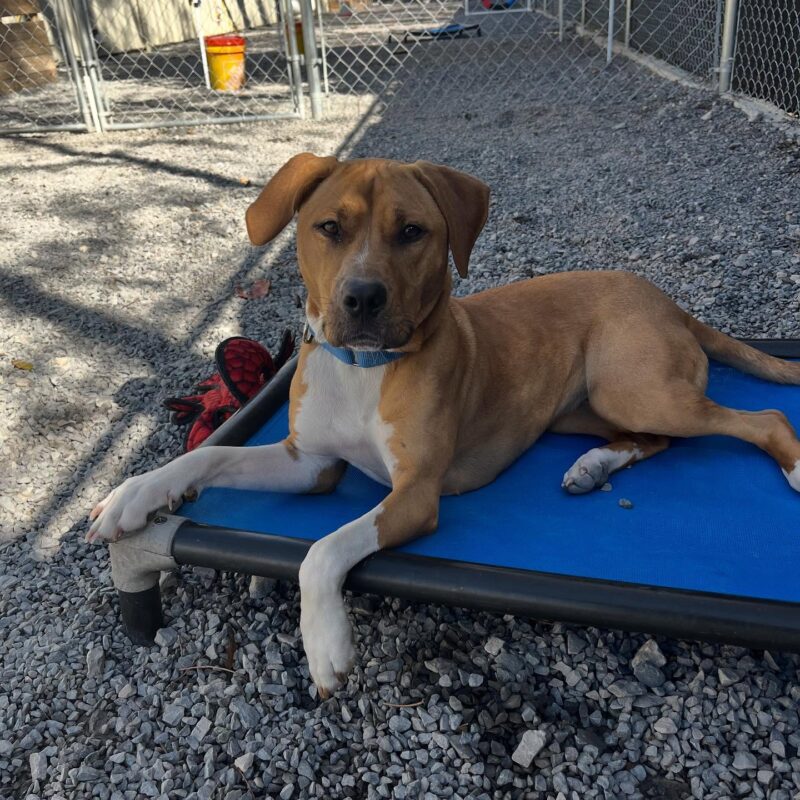 580856239_18410211619141992_1339153341868300542_n