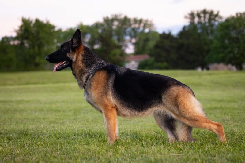 591919303_1289026323252679_4134558286267062384_n